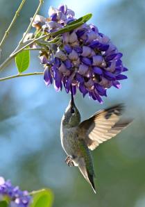 How do we learn to pray?  Get close to our Source